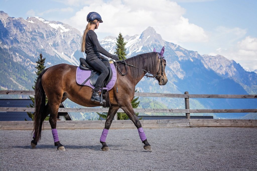 L'équitation